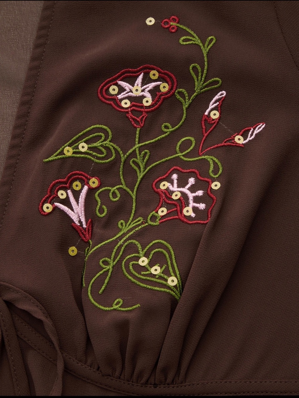 Cider Brown Sheer Tie-Front Blouse with Floral Embroidery - Picture 3 of 3